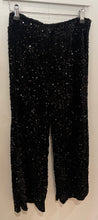 Load image into Gallery viewer, Black Sequin Velvet Trousers