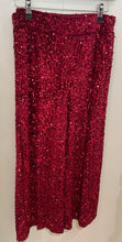 Load image into Gallery viewer, Dark Red Sequin Velvet Trousers