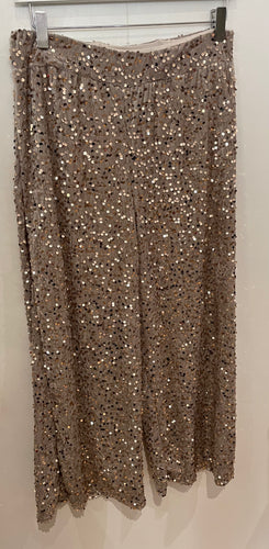 Champagne Sequin Velvet Trousers