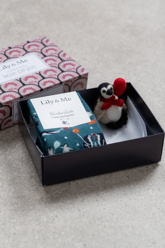 Lily & Me Penguin Pals Socks and Keyring Gift Set