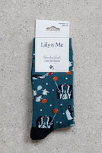 Load image into Gallery viewer, Lily &amp; Me Penguin Pals Socks and Keyring Gift Set