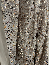 Load image into Gallery viewer, Champagne Sequin Velvet Blazer
