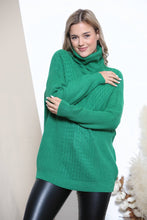 Load image into Gallery viewer, V pattern knit turtle neck: Green