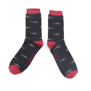 Mr Heron Charcoal Little Sharks Socks