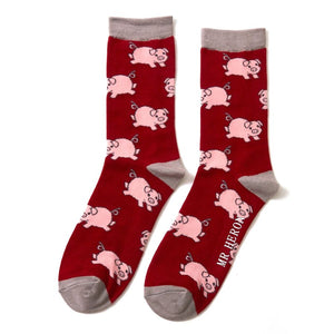 Mr Heron Red Piglets Socks